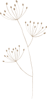 clipart foto carte