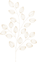 clipart foto carte