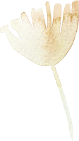 clipart foto carte