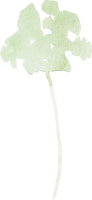 clipart foto carte