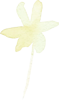clipart foto carte