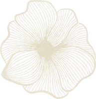clipart foto carte