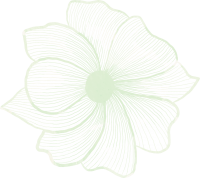 clipart foto carte