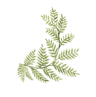 clipart foto carte