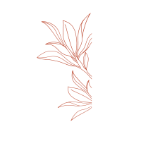 clipart foto carte