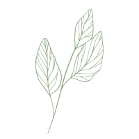 clipart foto carte