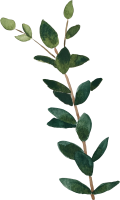 clipart foto carte