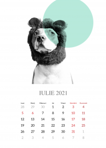 Calendar de perete, Animale, 20x30 A4 cm