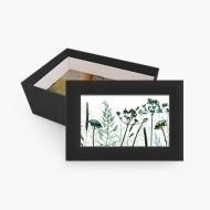Cutie de carton, Plantă, 15x11 cm