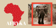 Africa în Culori fotocarte, 20x20 cm