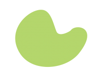 clipart foto carte