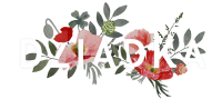 clipart foto carte