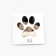 Tablou, Animalul tau - pisica, 30x30 cm