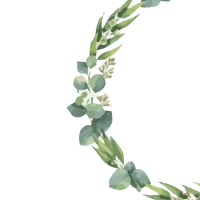 clipart foto carte