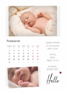 Calendar de perete, Calendarul viitoarei mame, 30x40-A3 cm