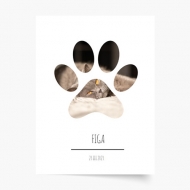 Poster, Animalul tău de companie – pisică, 21x30 cm