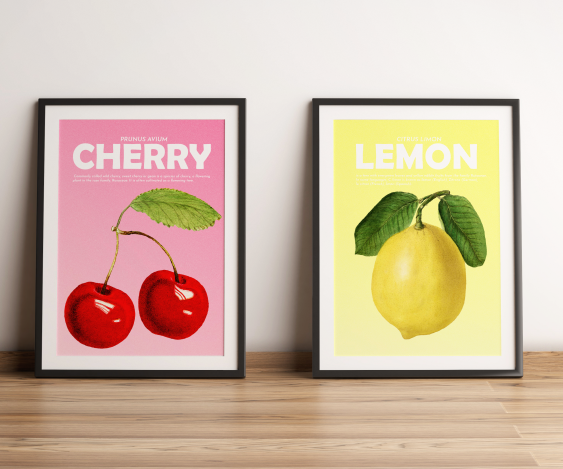 Poster, Fructe - Cireșe, 21x30
