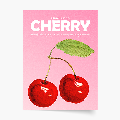 Poster, Fructe - Cireșe, 21x30