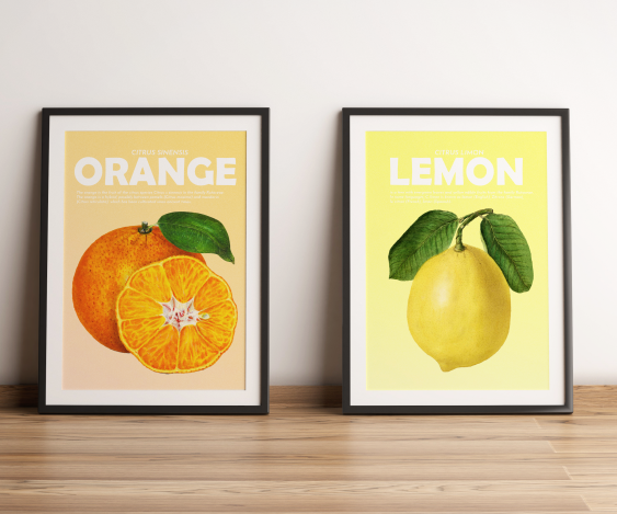 Poster, Fructe - Portocale, 21x30