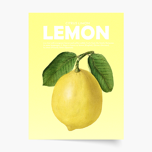 Poster, Fructe - Lămâie, 21x30