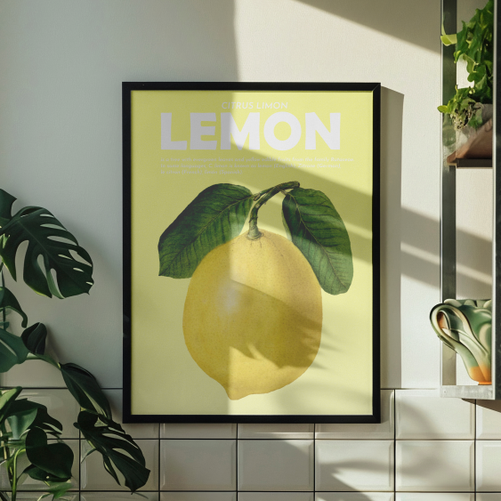 Poster, Fructe - Lămâie, 21x30