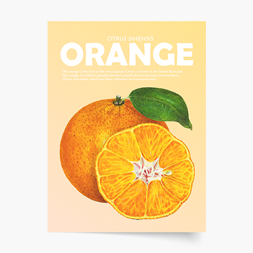Poster, Fructe - Portocale, 21x30
