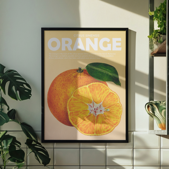 Poster, Fructe - Portocale, 21x30