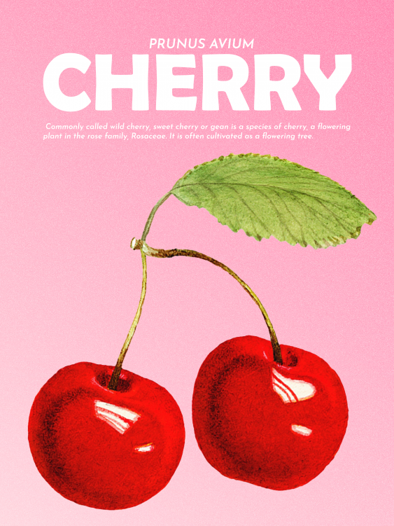 Poster, Fructe - Cireșe, 21x30