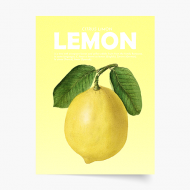 Poster, Fruits - Lemon, 20x30 cm