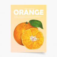 Poster, Fruits - Orange, 20x30 cm