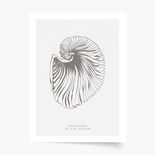 Poster, Scoici, 21x30
