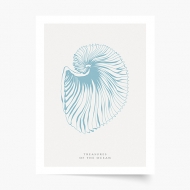 Poster, Seashells blue, 20x30 cm