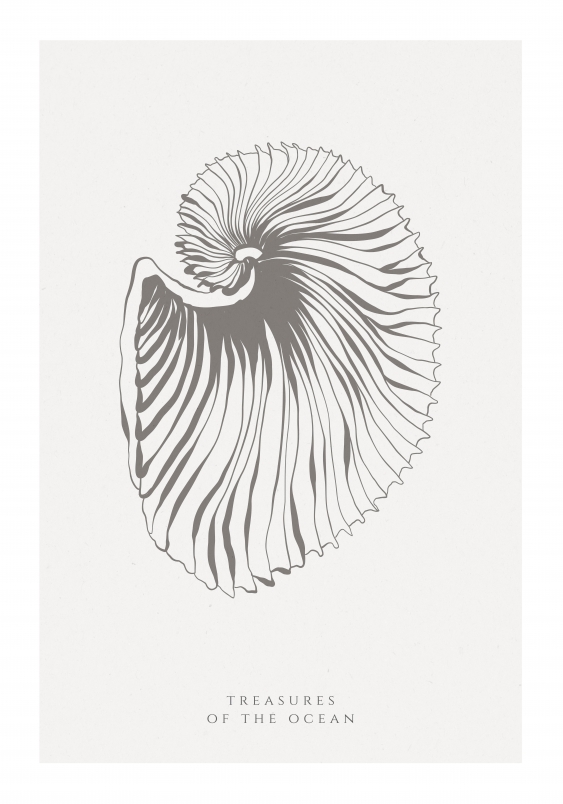 Poster, Scoici, 21x30
