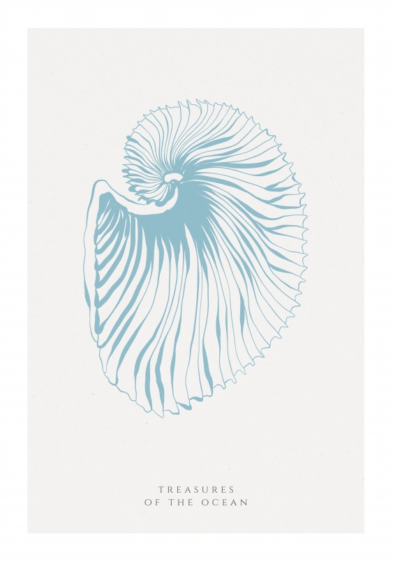 Poster, Scoici albastre, 21x30