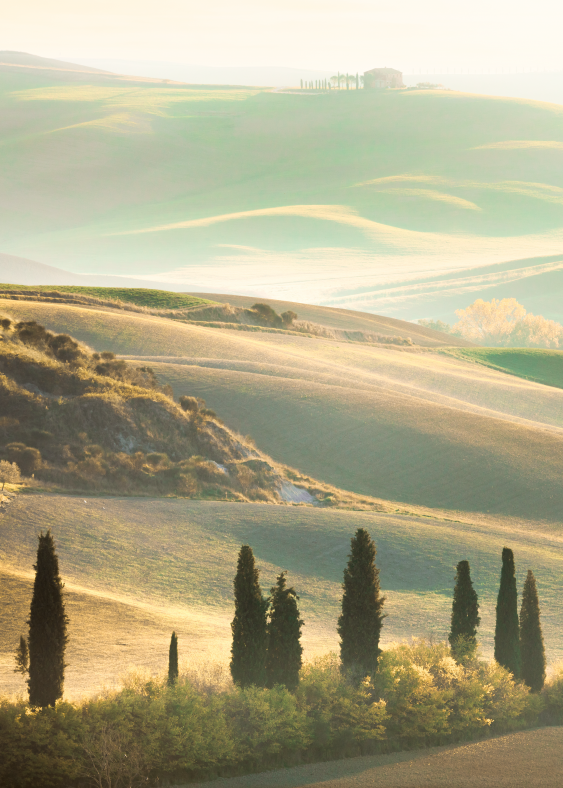 Poster, Toscana, 21x30
