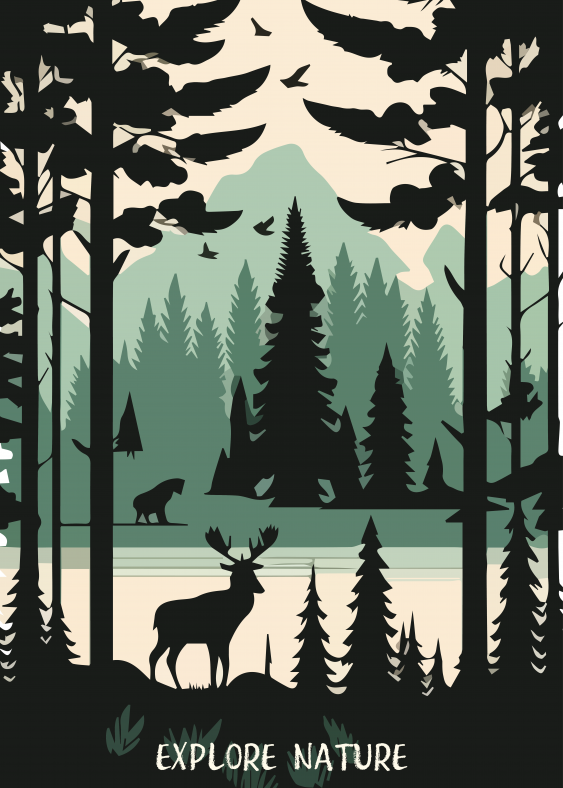 Poster, Las: Explorează natura, 30x40