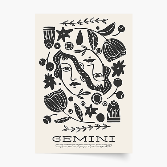 Poster, Gemenii, 21x30