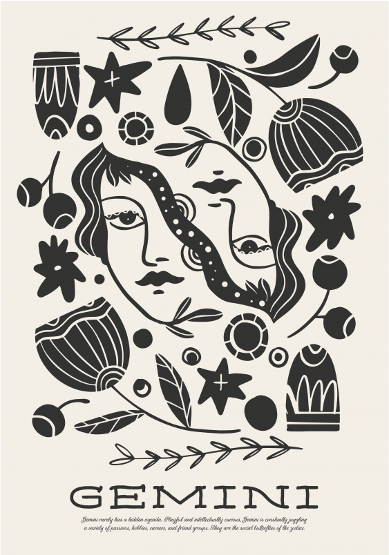 Poster, Gemenii, 21x30