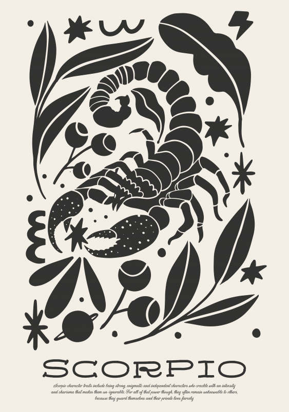 Poster, Scorpionul, 21x30
