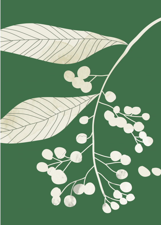 Poster, Femeie - Frunze II, 50x70