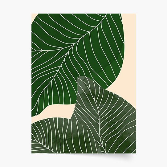 Poster, Femeie - Frunze III, 50x70