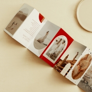 Leporello, Colectia Modern
