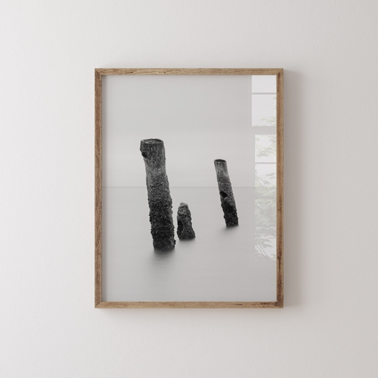 Poster, Alb-negru: Copaci, 30x40