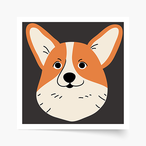 Poster, Câini: Corgi, 30x30