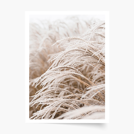 Poster, Boho 1, 30x40