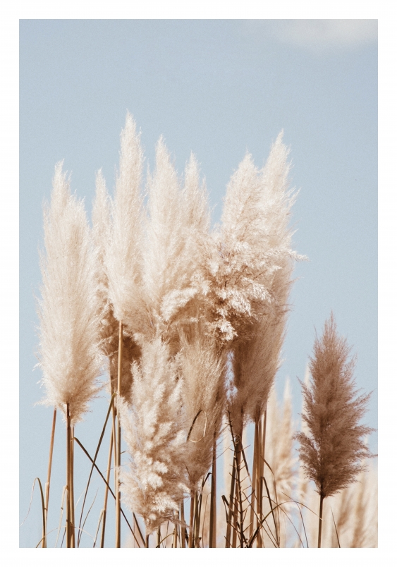 Poster, Boho 2, 30x40