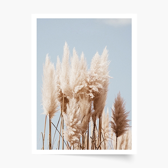 Poster, Boho 2, 30x40