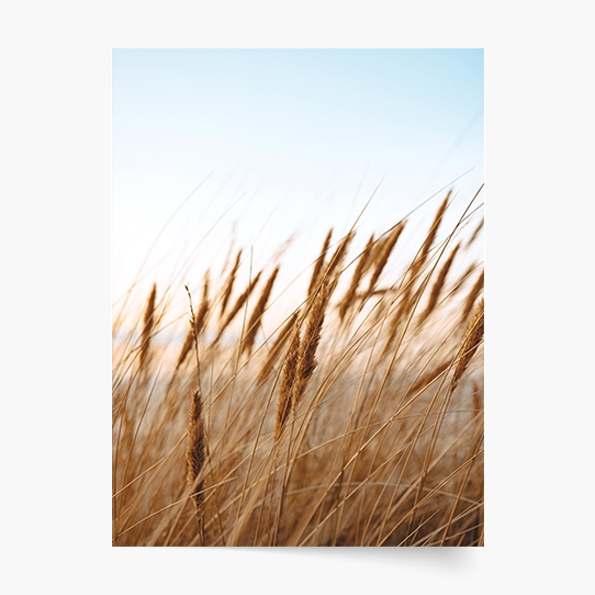Poster, Boho 3, 30x40