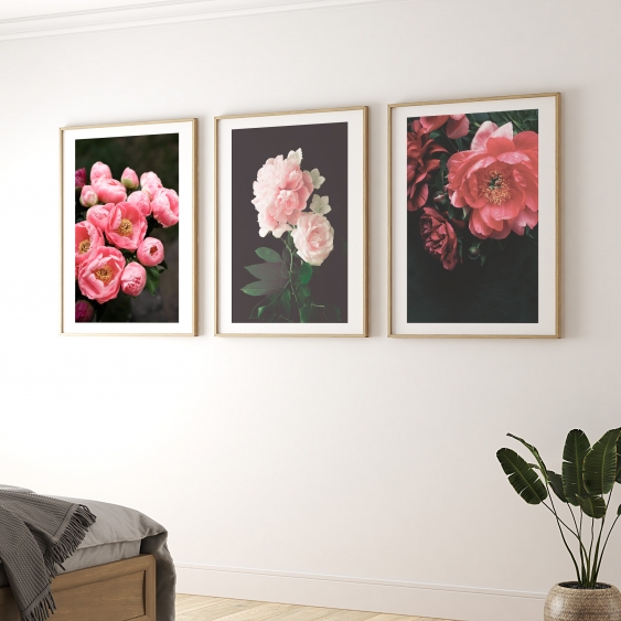 Poster, Flori: Trandafiri, 21x30