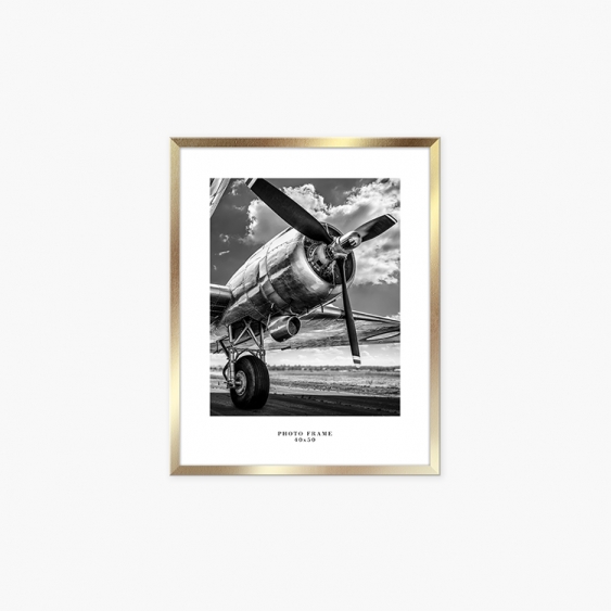 Rama pentru poster FLORIDA AU, aur, 40x50 cm